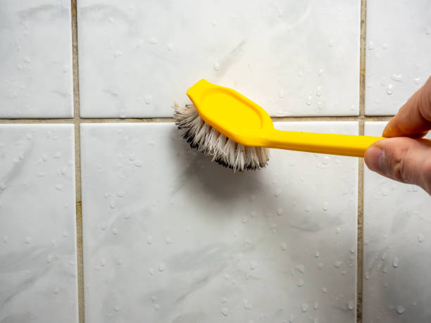 Certified Mold Removal in Enochville, NC