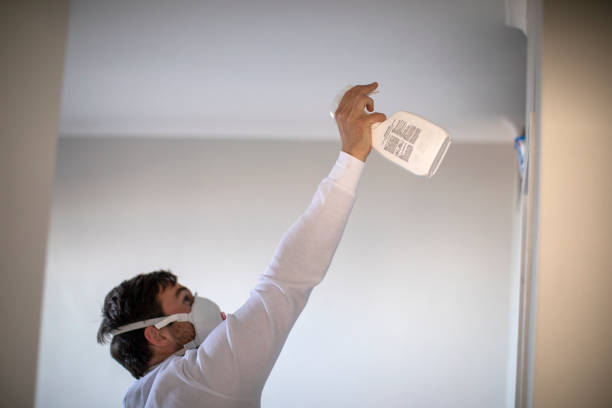 Best Mold Damage Repair  in Enochville, NC