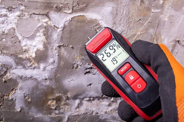 Best Mold Remediation  in Enochville, NC