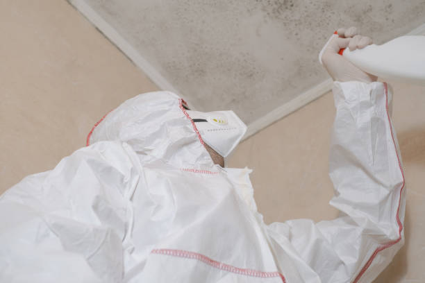 Best Mold Testing  in Enochville, NC